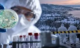 یک اپیدمیولوژیست: مسافران ورودی از روسیه برای پیشگیری از طاعون باید غربالگری شوند