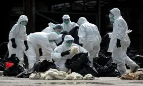 آیا جهان باید خود را برای یک بحران همه گیری دیگر آماده کند؟