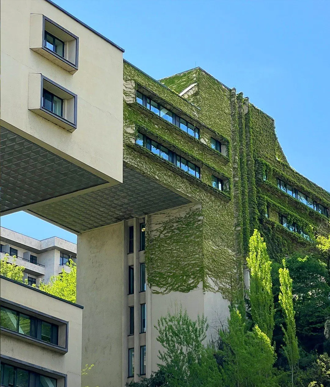 وزارت راهسازی سابق گرجستان؛ نماد بتنی معماری شوروی که بانک شد