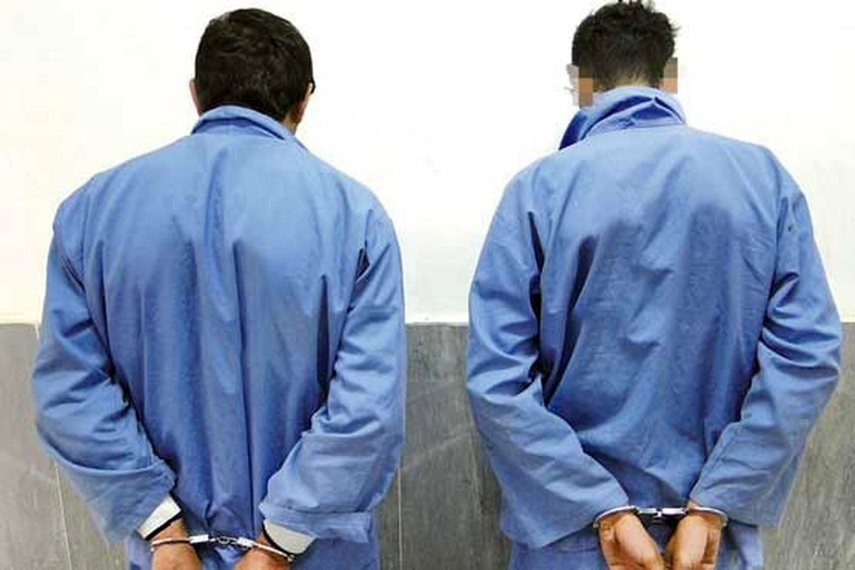 فراری دادن دختر جوان توسط 2 پسر در جنوب تهران