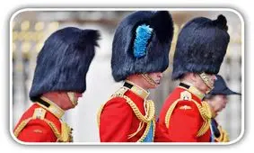  خز مصنوعی جایگزین خز خرس