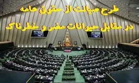 طرح حیوانات مضر و خطرناک در تنور مجلس/ یک طرح «صیانت» دیگر، اینبار از حقوق عامه