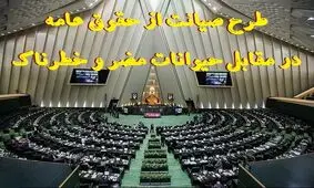 طرح حیوانات مضر و خطرناک در تنور مجلس/ یک طرح «صیانت» دیگر، اینبار از حقوق عامه