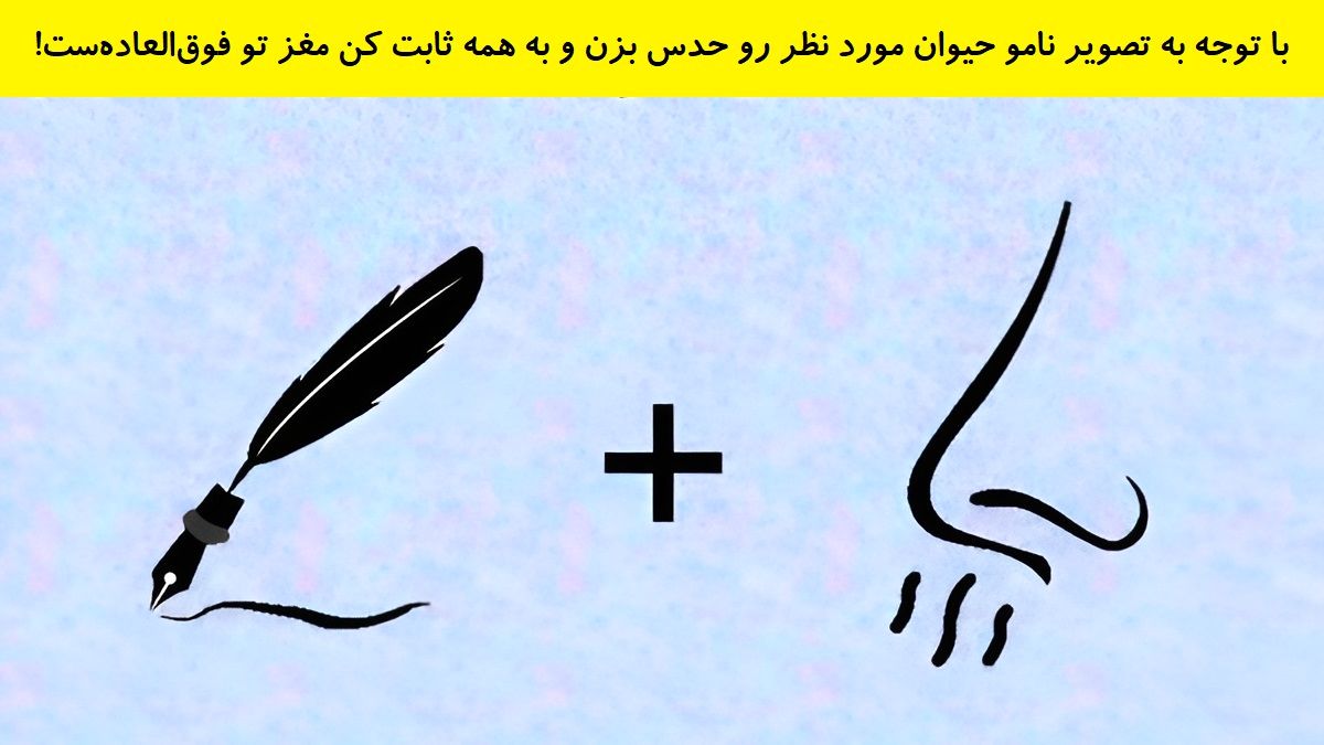 تست هوش فهمیدن نام حیوان