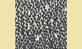 تست بینایی/  گربه های حریص که بین پنگوئن‌ها پنهان شده‌اند را پیدا کنید