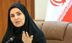 هیچ یک از طرح های مسکن متوقف نشده است
