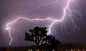 مرگ یک مرد در شهر مرند