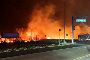 شمار قربانیان آتش سوزی جنگل های هاوایی به ۵۳ تن افزایش یافت