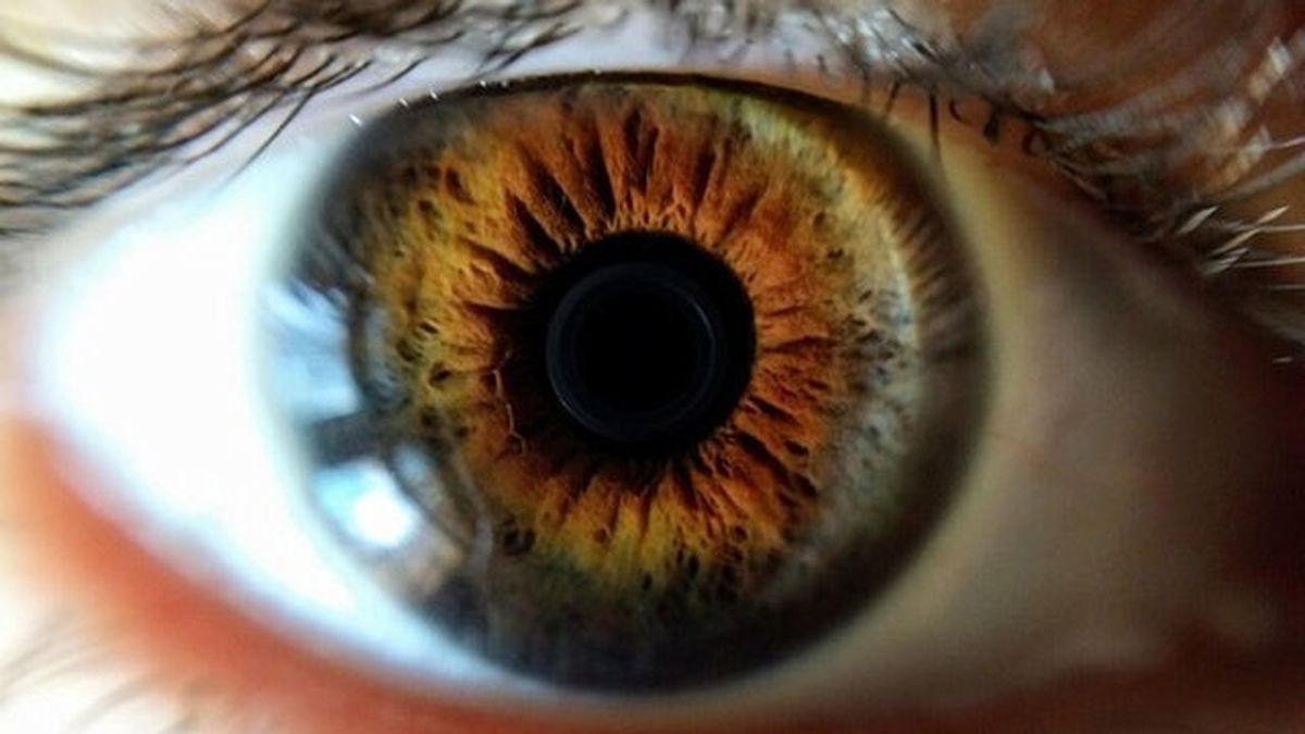 پیش‌بینی شایع‌ترین علت نابینایی افراد با بررسی شبکیه