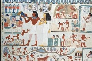 از معافیت تا کندن بینی! مصریان باستان چگونه مالیات می‌گرفتند؟/ تصاویر
