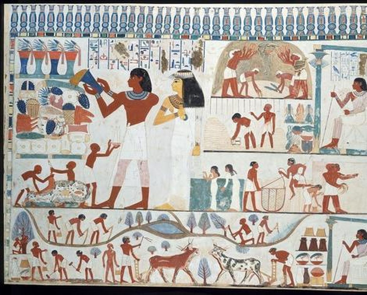 از معافیت تا کندن بینی! مصریان باستان چگونه مالیات می‌گرفتند؟/ تصاویر