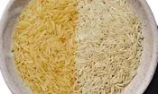 چگونه بهترین برنج پاکستانی و هندی را بخریم؟
