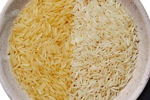 چگونه بهترین برنج پاکستانی و هندی را بخریم؟