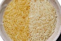 چگونه بهترین برنج پاکستانی و هندی را بخریم؟