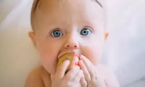 باکتری‌های روده نوزادان سیستم ایمنی آنها را شکل می‌دهد

