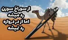 داستان ضرب المثل از سوراخ سوزن رد می شود اما از در دروازه رد نمی شود