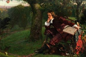 درخت معروف و تاریخی سیب نیوتن در کمبریج