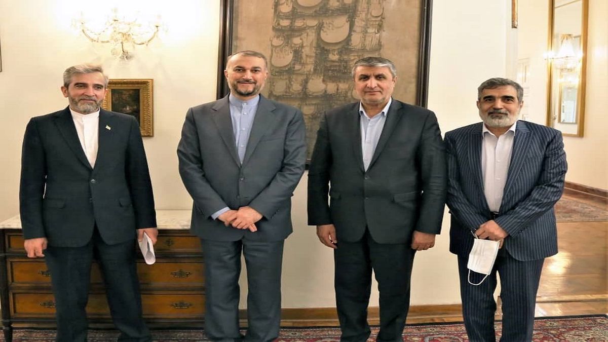 نشست مشترک وزیر امور خارجه و رئیس سازمان انرژی اتمی برگزار شد/ عکس