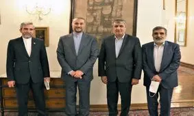 نشست مشترک وزیر امور خارجه و رئیس سازمان انرژی اتمی برگزار شد/ عکس
