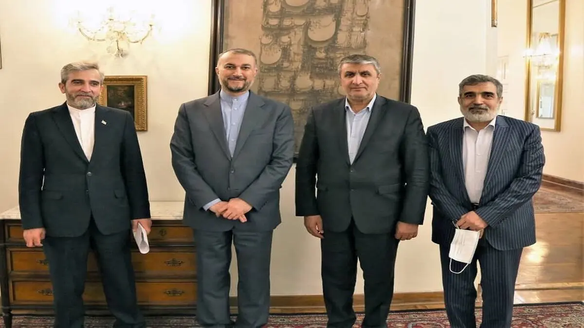 نشست مشترک وزیر امور خارجه و رئیس سازمان انرژی اتمی برگزار شد/ عکس
