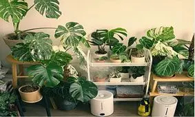 ۱۰ راهکار ساده و عملی برای محافظت از سالمندان در آلودگی هوا