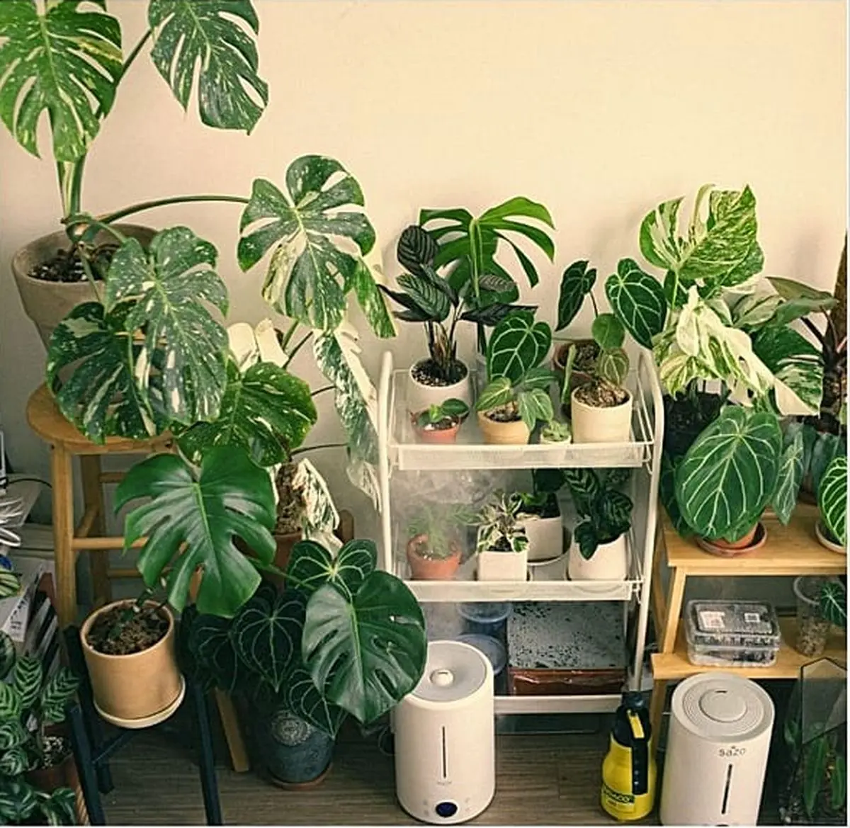 ۱۰ راهکار ساده و عملی برای محافظت از سالمندان در آلودگی هوا