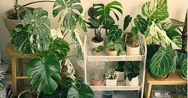 ۱۰ راهکار ساده و عملی برای محافظت از سالمندان در آلودگی هوا