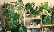 ۱۰ راهکار ساده و عملی برای محافظت از سالمندان در آلودگی هوا