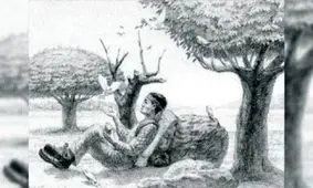 قدرت بینایی خود را با یافتن یک اسب که خودش را به شکلی نا محسوس پنهان کرده است امتحان کنید