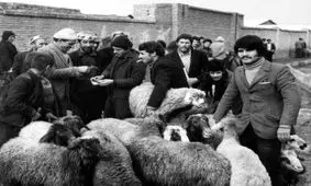 شهرداری تهران گوشت مجانی توزیع کرد/ عکس