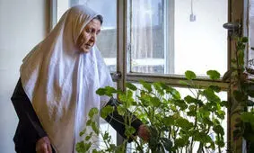 تاثیر تنهایی بر سلامت مغز زنان در شروع یائسگی
