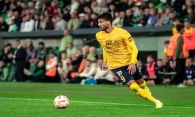 لمس بدن داور زن؛ «بنده خدا محمد محبی»!

