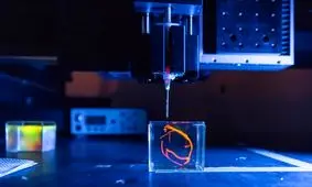 چاپ زیستی قلب انسان برای آزمایش روی حیوانات

