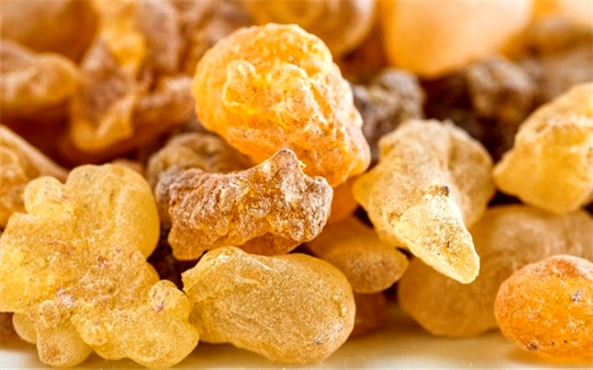 جویدن این صمغ در ناشتا در یک ماه چند کیلو لاغری می آورد