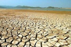 تحقیق جدید: ایران یکی از کانون‌های فرونشست شدید زمین در جهان است