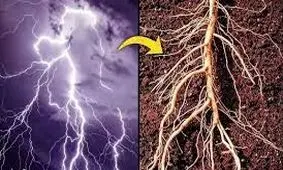 شباهت باورنکردنی کهکشان و انسان 