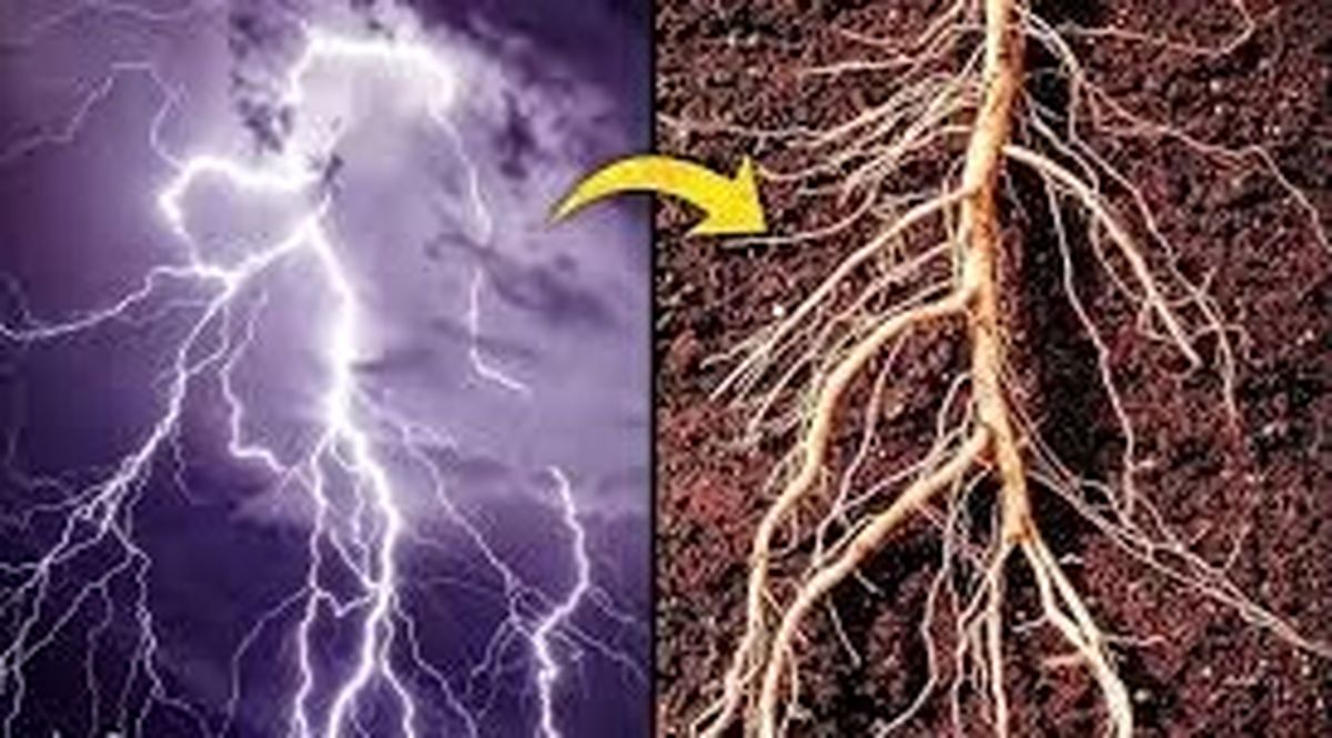 شباهت باورنکردنی کهکشان و انسان 