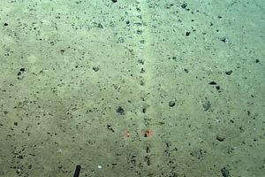 کشف حفره‌های مرموز و عجیب در کف اقیانوس اطلس!/ تصاویر