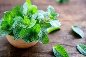 درمان جوش های سرسیاه با مصرف این سبزی خوشمزه