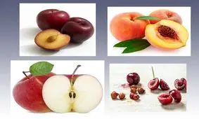 هسته‌های این میوه‌ها خطرناکند!