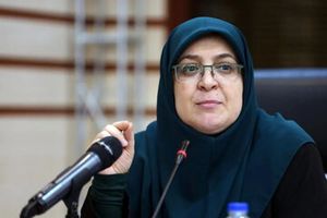 روایت سخنگوی دولت از بحث ها در هیات دولت درباره کنسرت همایون شجریان