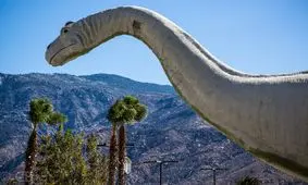 دایناسور مبتلا به کروناویروس هم کشف شد!