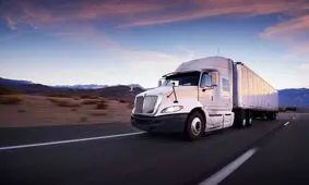 جا خوش کردن مار بوآ زیر کامیون/ عکس