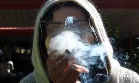 توهم و منگی انتخاب دانشجویان/ گل همان ماری جوانا نیست