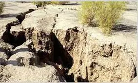 تجربه دنیا درباره فرونشست زمین؛ از چین تا ایالات متحده