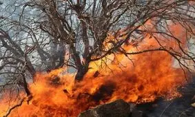 آتش سوزی گسترده در مراتع کرمانشاه/ ویدئو 