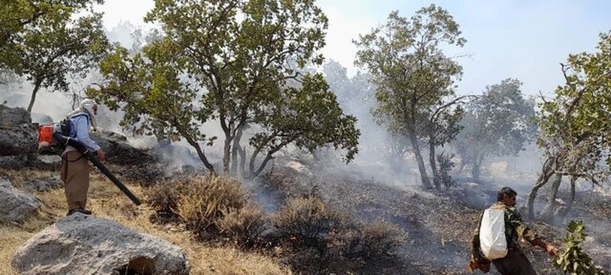 شعلهور شدن مجدد آتش در جنگلهای باشت