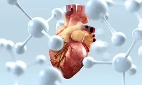 توصیه های طب ایرانی برای تقویت قلب