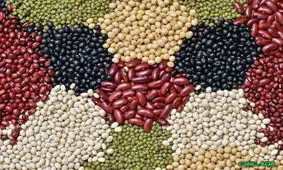 آیا مصرف حبوبات برای سالمندان مضر است؟