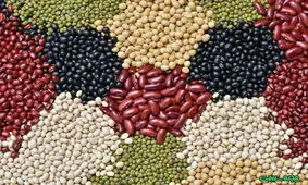 آیا مصرف حبوبات برای سالمندان مضر است؟